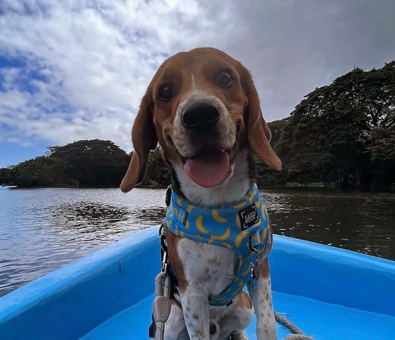 Milo